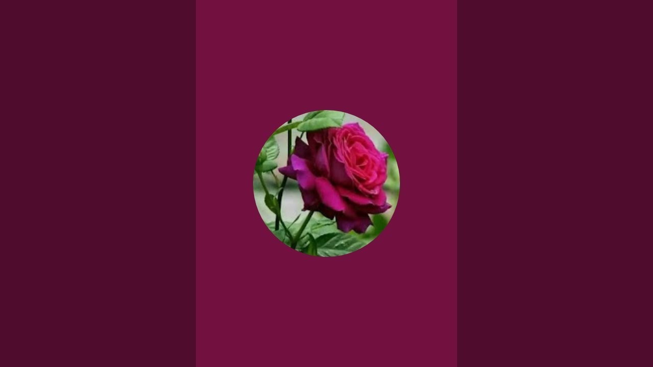 Abdulghaffar official is live!