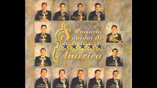 Video voorbeeld van "Tiempo y Destiempo [Mariachi Sonidos De América]"