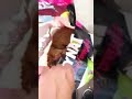 طلقة الإيجابية طلقة الإيجابية