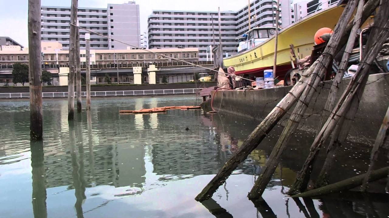 16 4月6日 勝島運河 ボラの稚魚が Youtube 16 4月6日 勝島運河 ボラの稚魚が Youtube