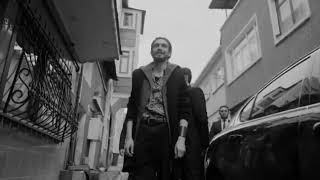 - Timsah Celil Zombi̇ Mahalli̇