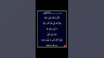 سورة الروم - سورة 30 - اية 30