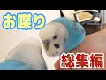 うめのお喋り総集編!① 【生後3ヶ月~2才】
