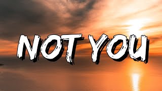 Alan Walker - Not You (Lyrics) ft. Emma Steinbakken [4k]