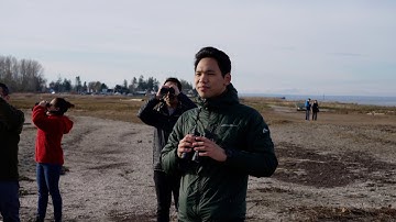 Community Bird Walks – Surrey, BC (Stories from the BC Bird Trail)