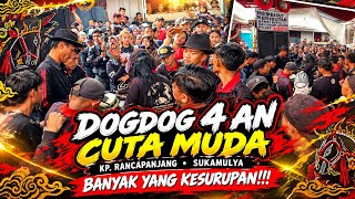 DogDog 4 an Cuta Muda Paling Enakk 🔥🔥 Cuta Muda Kp.Rancapanjang Sukamulya Rancaekek