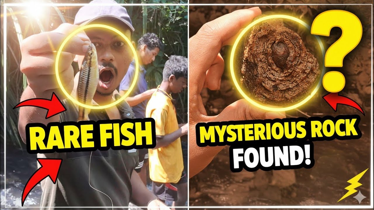 fishing/पहिल्यांदाच असा मासा गावच्या कोंडीत पकडला/🤩kokan fishing vlog (कोकण)