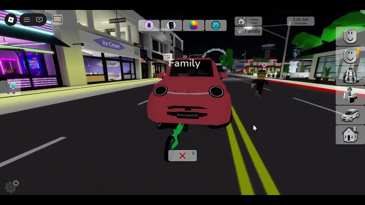 Twins Playing - BROOKHAVEN