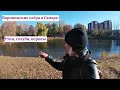 Воронежские озера, часть 2, какие птицы летают, Самара