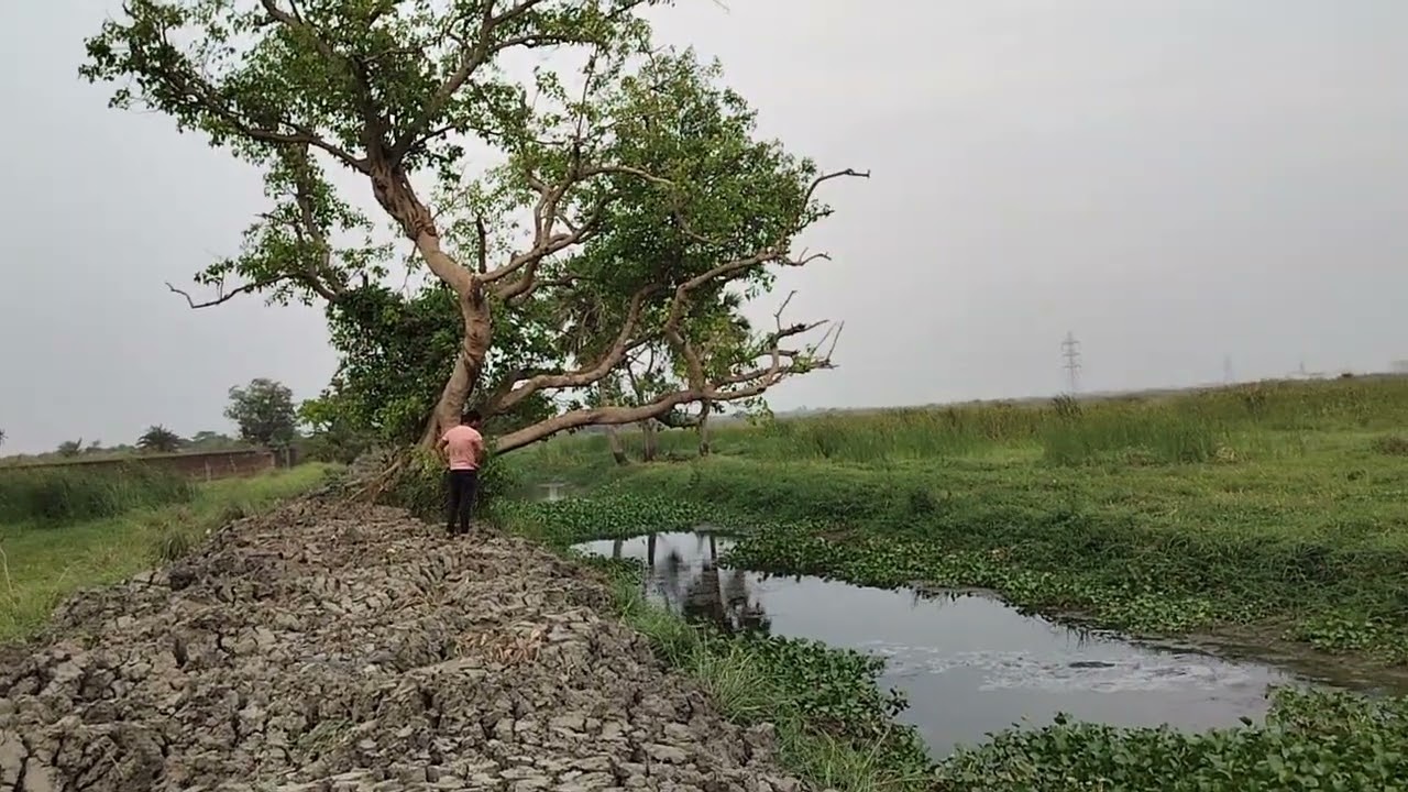 05/04/2024, - M - 8777644350,   Dankuni Hooghly West Bengal India, 