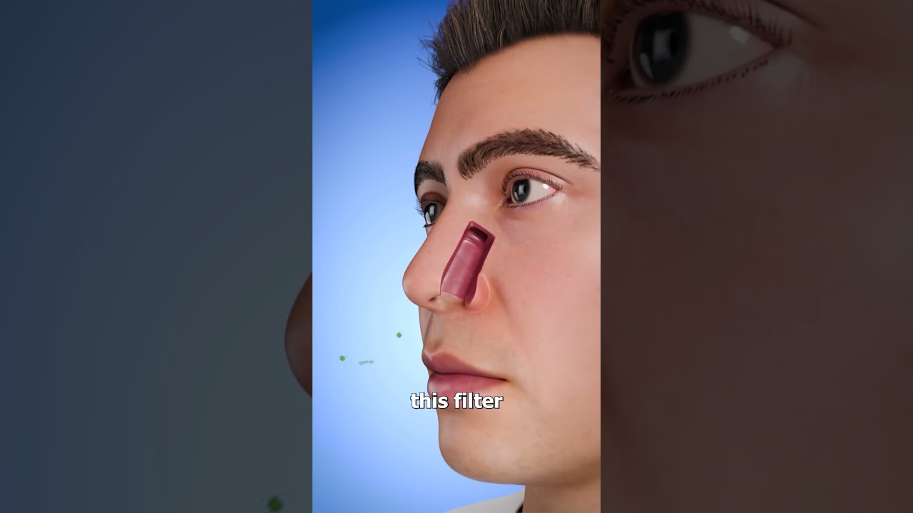 Should You Pluck Your Nose Hairs 