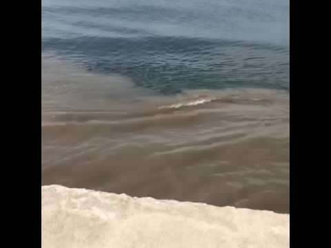 Река сочи впадает в море