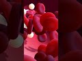 Onions For Heart | Short And Sweet |