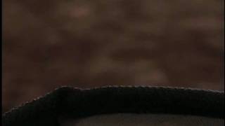 SMOV0030.AVI