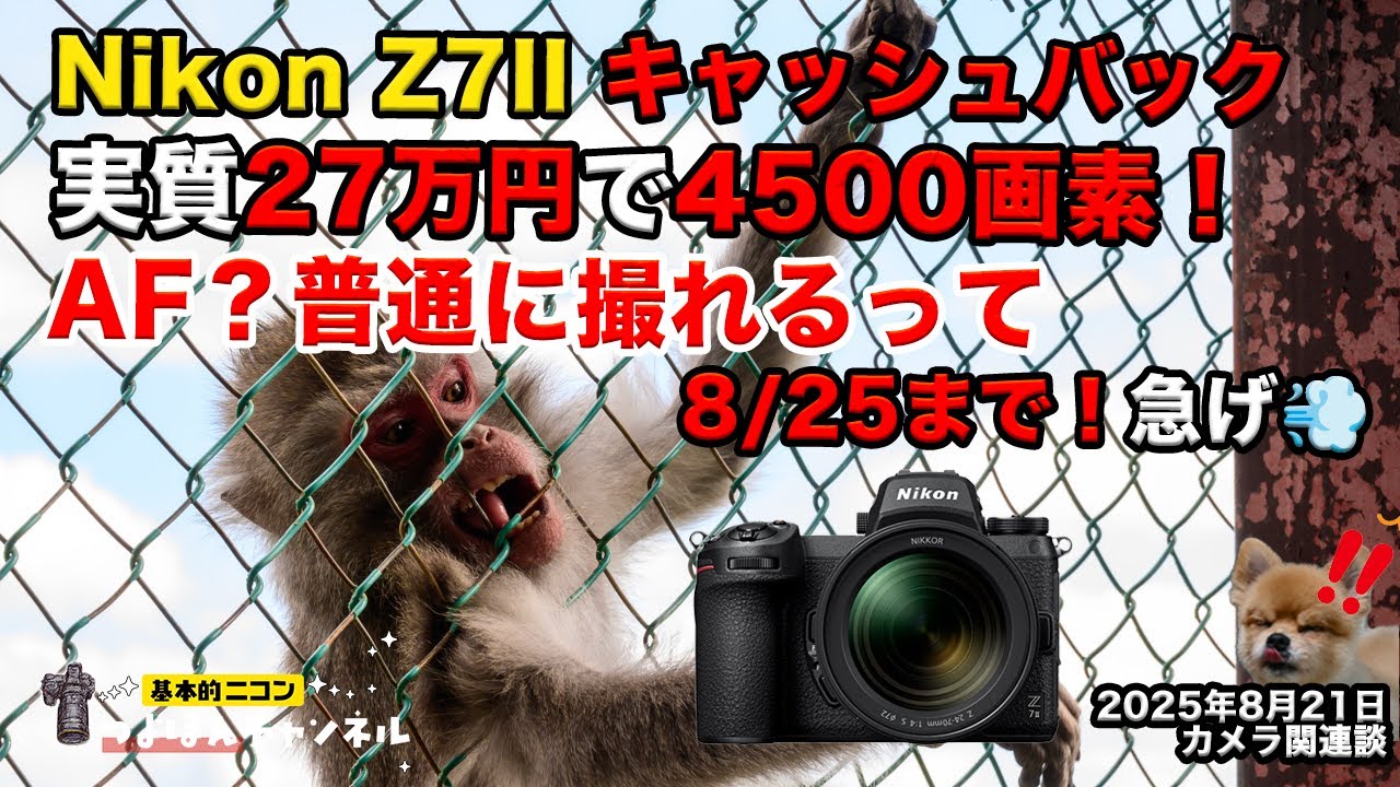 Get the Z7II for just ¥270,000! 45MP + Cashback until August 25th