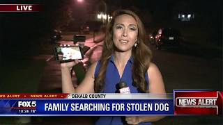 Family searches for missing dog
