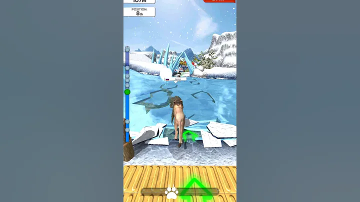 animals video #gaming video