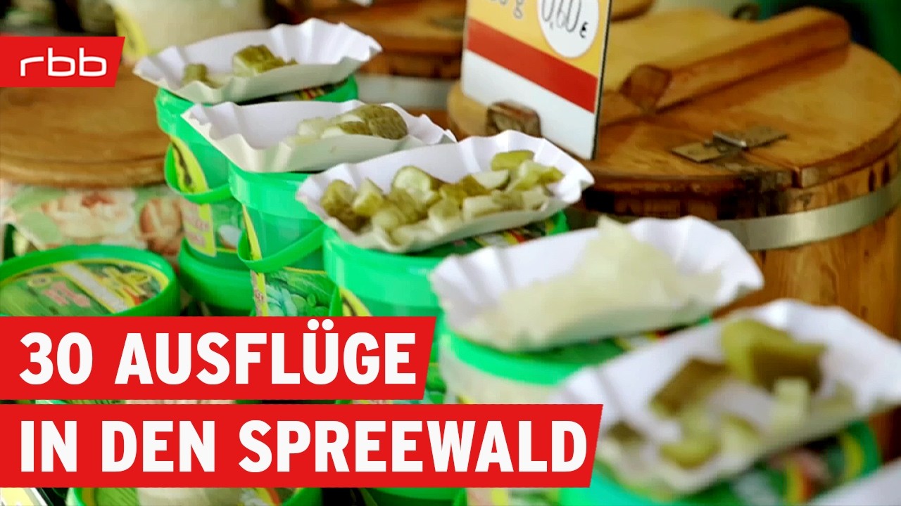 Die 30 schönsten Ausflüge in den Spreewald | Brandenburg erleben | Reportage | Re-Upload