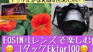 キヤノンEOS1nhs+Lレンズで、コダックEktar100を使ってみました