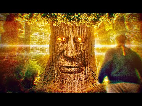 the Wise Mystical Tree won’t grant my wish