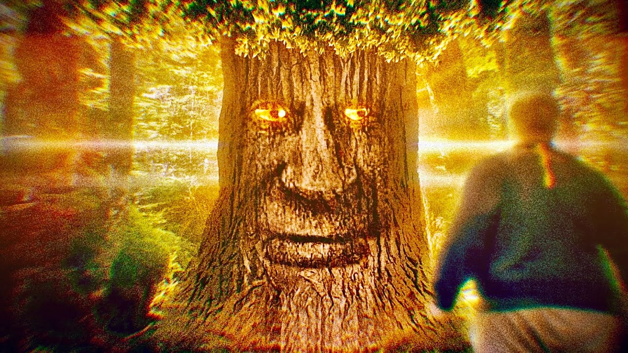 A Wise Mystical Tree Lofi Remix 