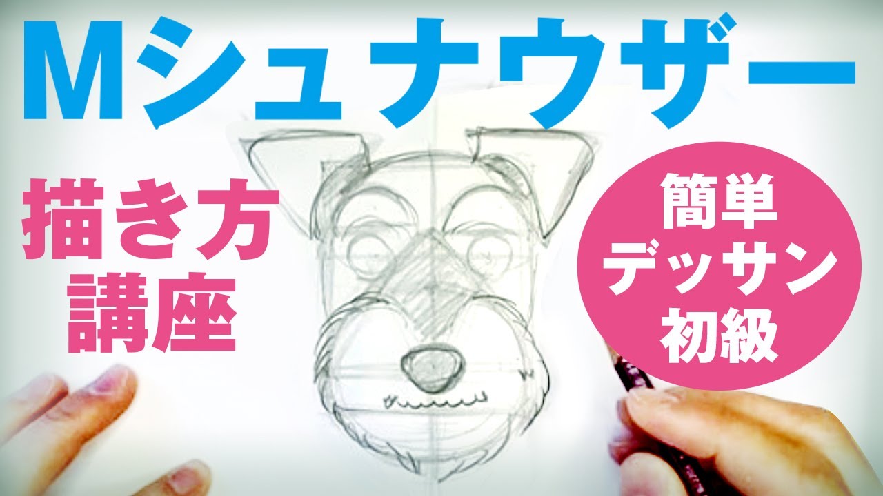 Mシュナ描き方講座 簡単デッサン初級 犬の絵画教師講師によるとっても簡単なスケッチ わんこ編 シュナウザー 美術 鉛筆 Easy Drawing Art Schnauzer Youtube