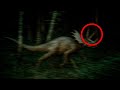 Trail Cameras in Brazil Capture Terrifying Creature No One Can Identify
