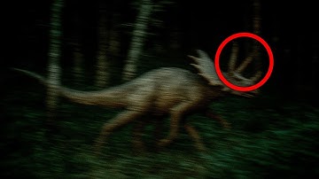 Trail Cameras in Brazil Capture Terrifying Creature No One Can Identify