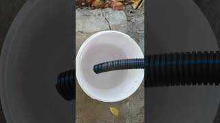 Cilio Antifiriz Değişimi #renaut #sanayi #vatandaşlık #kışlıkhazırlık #otobakım