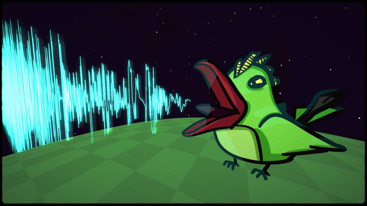 Parakeet [Music Video]