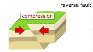 Reverse Fault Animation