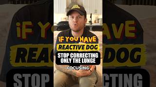 Stop Focusing Only on Your Reactive Dog’s Explosion