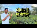 বাংলাদেশের সবচেয়ে সুন্দর চা বাগান কোনটি