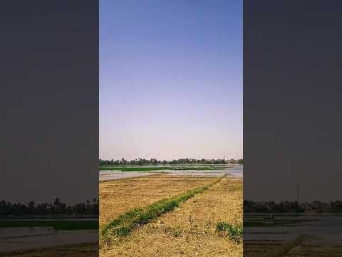 يانيل اروي اراضينا اروي العطش إللي فينا اغسل همومنا الله بيك حبينا 