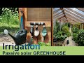 Irrigation set up in our passive solar greenhouse