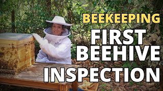 First Beehive Inspection: Step-by-Step Guide & Tips for Beginner Beekeepers #beekeeping #honey #bees screenshot 3