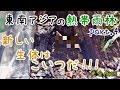 新水槽立ち上げ ~東南アジアの熱帯雨林~ Part.4 新たな生体