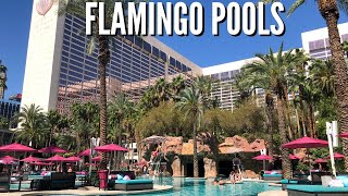 FLAMINGO LAS VEGAS POOL  | Flamingo Pool Go Pool Dayclub & Beach Club Best Pools in Las Vegas 2021