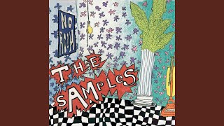 Video thumbnail of "The Samples - When It's Raining"