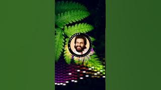 പാതിരാ പുള്ളുണര്ന്നു | pathira pullunarnnu | Ee Puzhayum Kadannu Hits of yesudas | 320kbps
