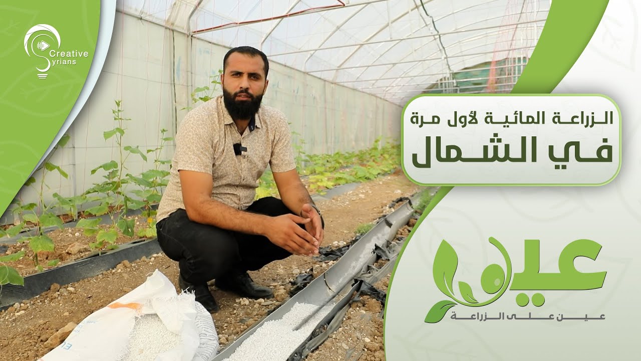 الزراعة المائية لأول مرة في الشمال السوري