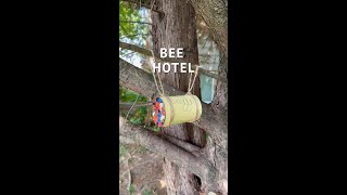 DIY Bee Hotel DIY Bee Hotel