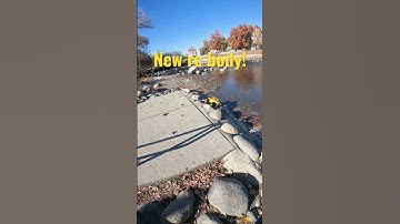 Element ecto crawler🚘New body!😎the ecto 5.0😂🤘🏽#rccar#rccrawler#shorts#rc#crawler#crawlerrc