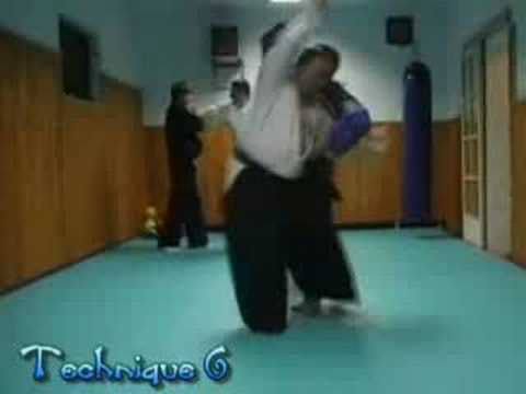 REAL AIKIDO ... Blue Belt