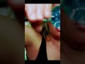 ASMR Ice globes 💙 #shorts