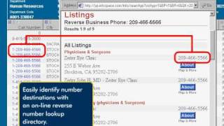 Dynamic Reports