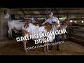 Claves para una ganadería exitosa: Asociatividad y genética - TvAgro por Juan Gonzalo Angel