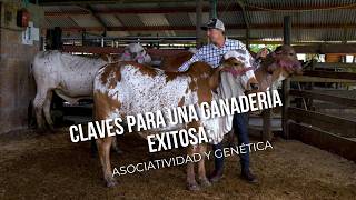 Claves para una ganadería exitosa: Asociatividad y genética - TvAgro por Juan Gonzalo Angel