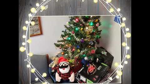 Evolutionary Computers