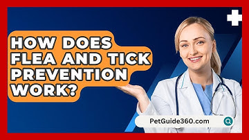 How Does Flea And Tick Prevention Work? - PetGuide360.com